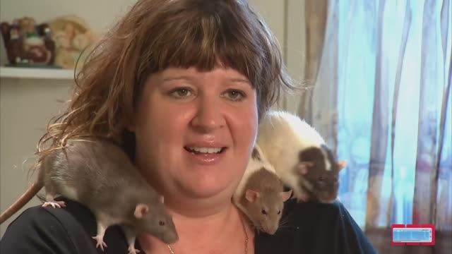 Она живёт с 19 крысами. ПЕРЕВОД. Странности