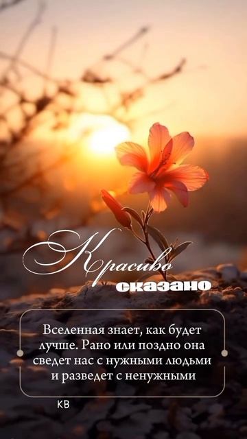 #мысли #цитаты #katyboro #реки #умныемысли #shorts #ai #aivideo #мыслиожизни