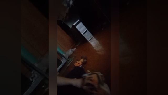 УЛЫБАЮЩИЙСЯ КОМНАТА. ПО СЛЕДАМ ПРОПАВШИХ ДЕТЕЙ. ЧЕБУРАШКА И ТИГР В МИРЕ УЛЫБАЮЩИЙСЯ КОМНАТЫ