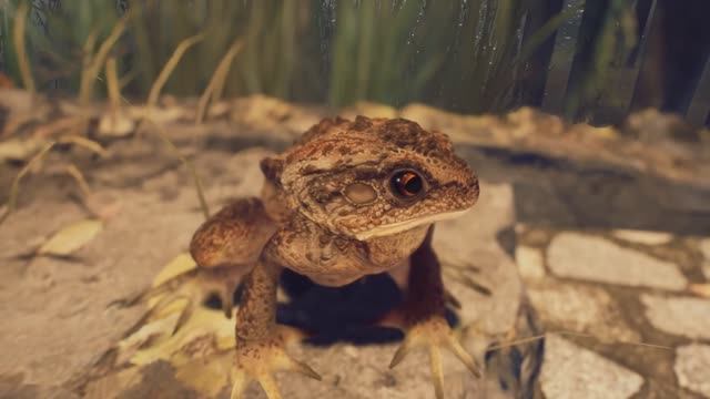 EBOLA VILLAGE (2025) Болота Дом Лесника Починить Мост #6