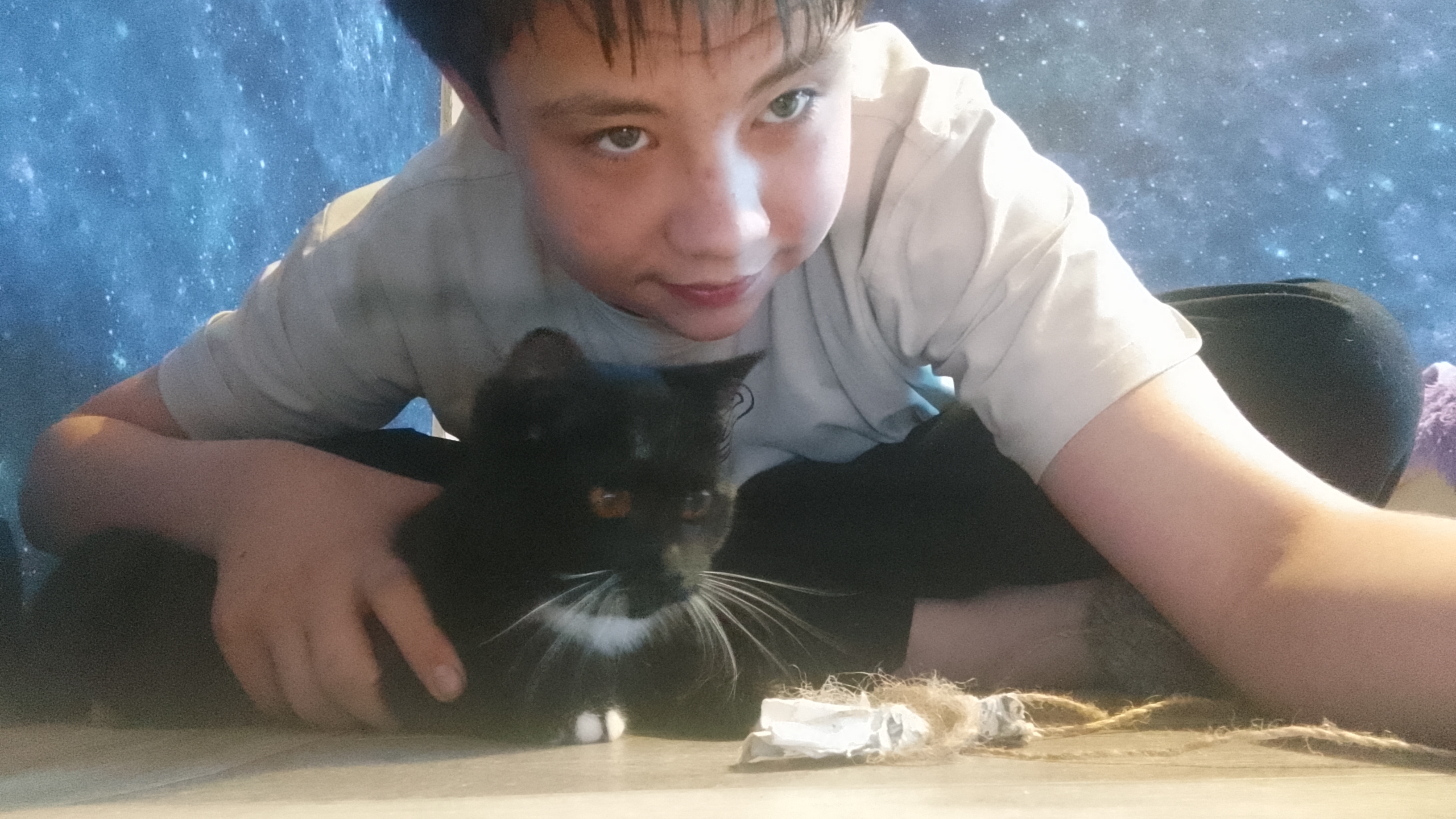 Моя кошка Эльза играется  с верёвочные бумажки