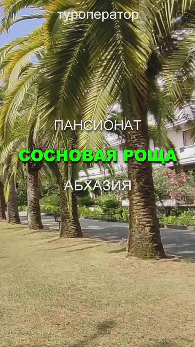 🔥☀️Пансионат СОСНОВАЯ РОЩА, Абхазия - открыта продажа путевок на ЛЕТО 2026!!!👍🔥
