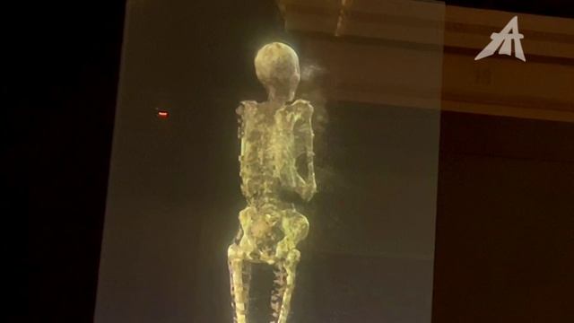 Мумии передрались насмерть