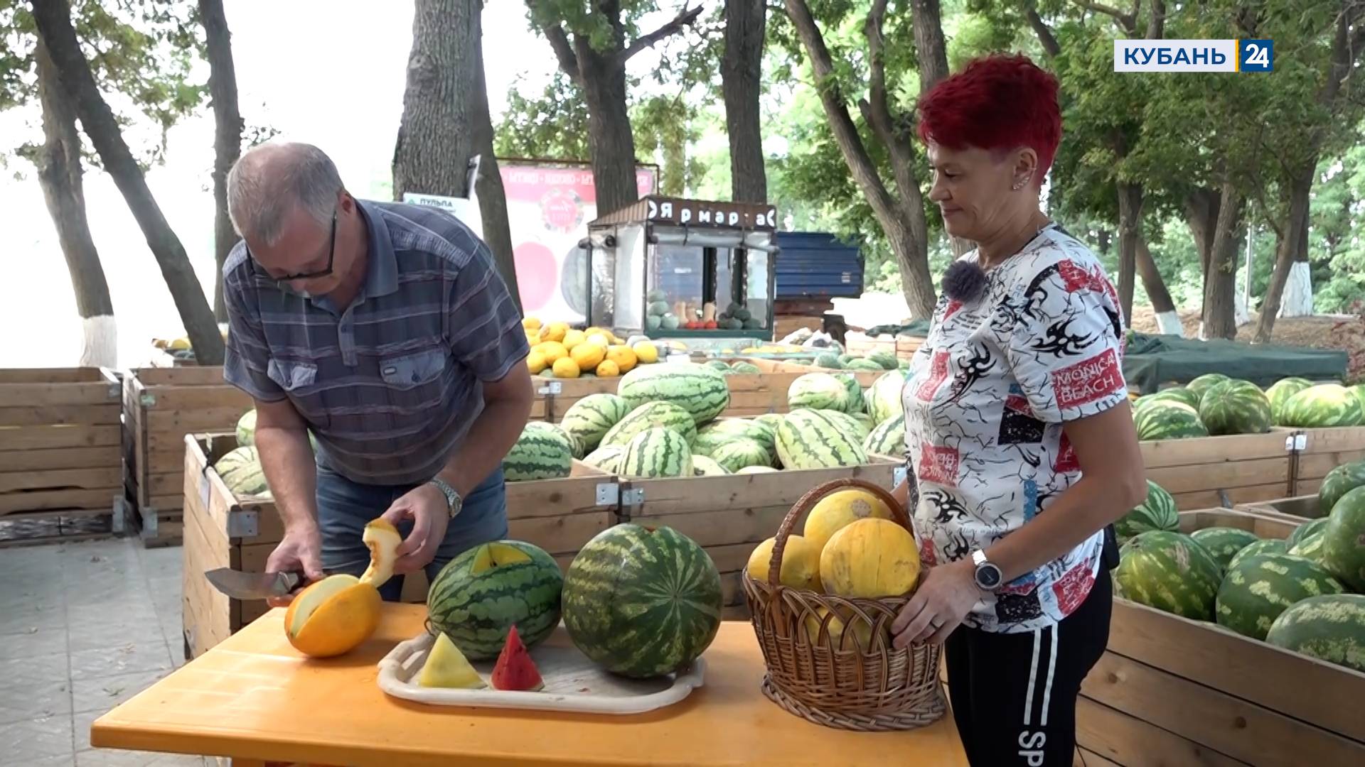 Мир сельского хозяйства №85 | Бахчевые 30.09.25