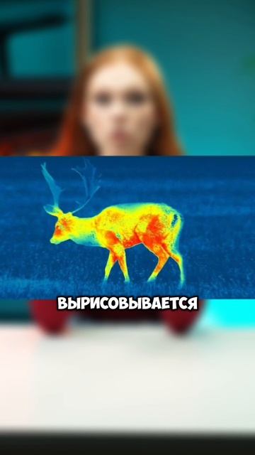ДАЛЬНОСТЬ ТЕПЛОВИЗОРА ЗАВИСИТ ОТ NETD? #тепловизор #охота #тепловизордляохоты #оружие #патрон