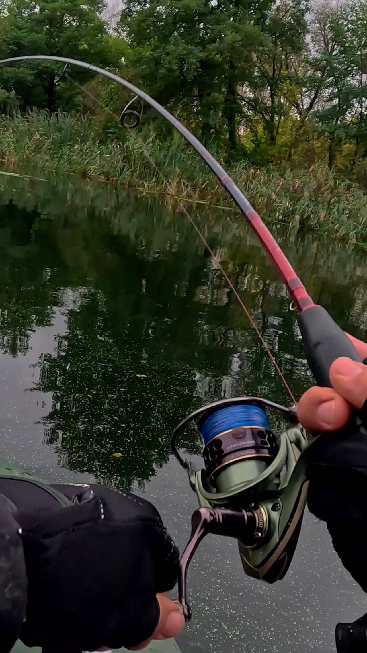 Щука использовала «Ускользание»! Это вообще законно?!🤣💪😱 #shorts #щука #рыбалка