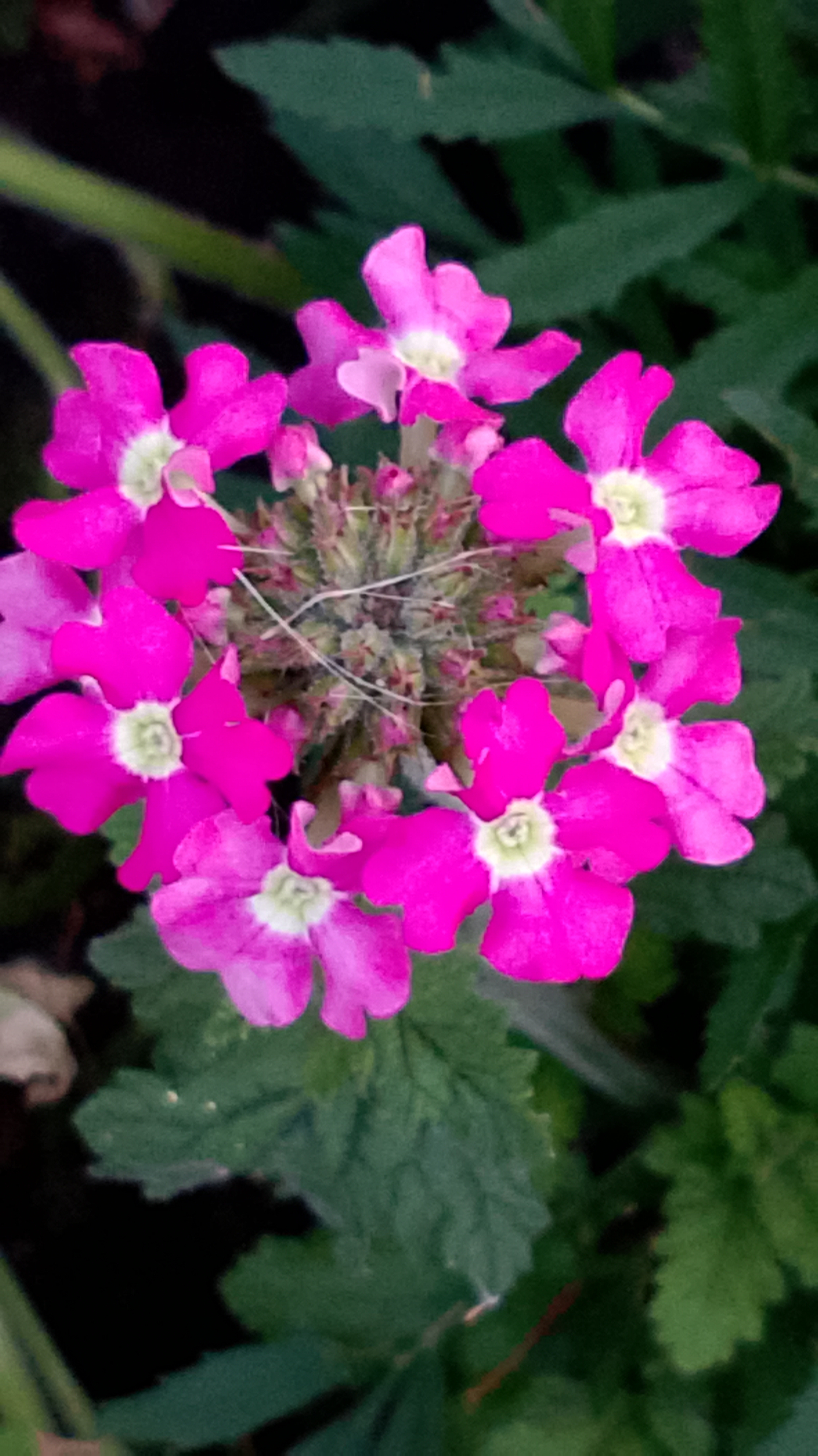 Мы, из прошлого!🌹🌸🌷 #Людииблоги