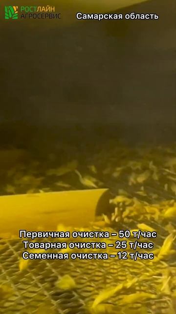 Зерноочистка VibroMAX 10122 в Самарской области | #shorts