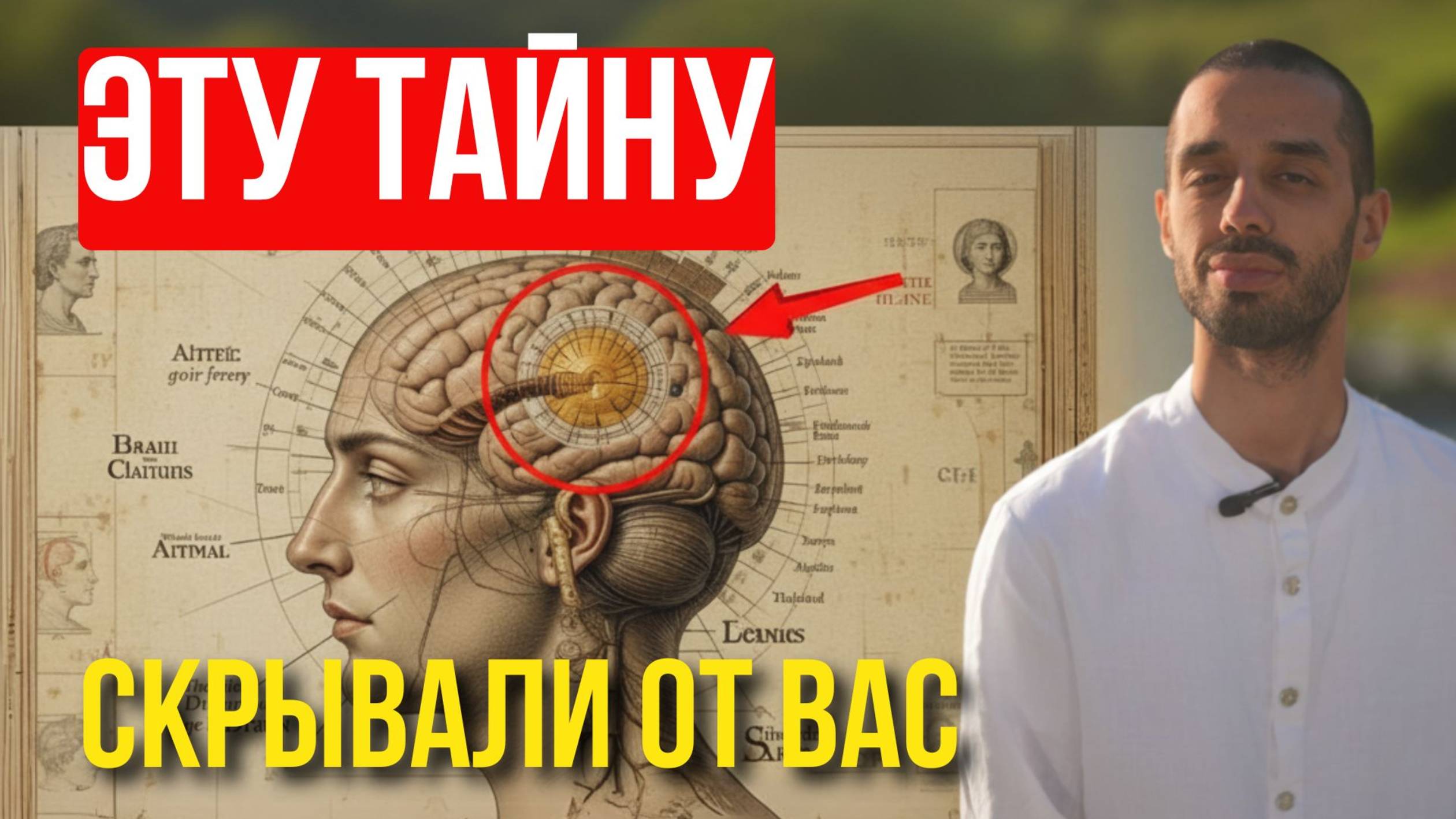 У нас есть тайная сила, но мы ею не пользуемся