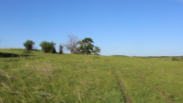 Исчезнувший поселок Трудовой, Инжавинский район Тамбовской области.