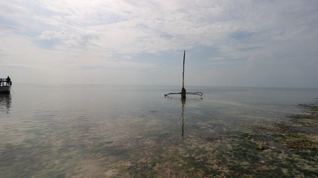 🇰🇪 Прогулка по пляжу Diani Beach в Кении 🌴#kenya #africa #dianibeach #travel #vacation # love