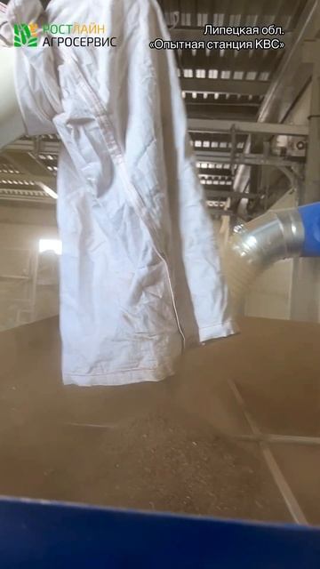 Зерноочистка VibroCompact справится даже с мелкими семенами фацелии | #shorts