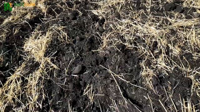 Демонстрационный показ глубокорыхлителя Digger 3, Farmet в Воронежской обл,