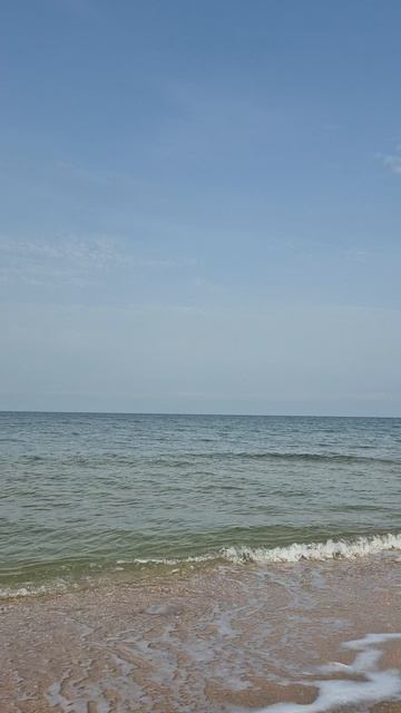 Крым, Азовское море, посёлок Новоотрадное. Воздух +15°, море +12°, 8 ноября 2025г.