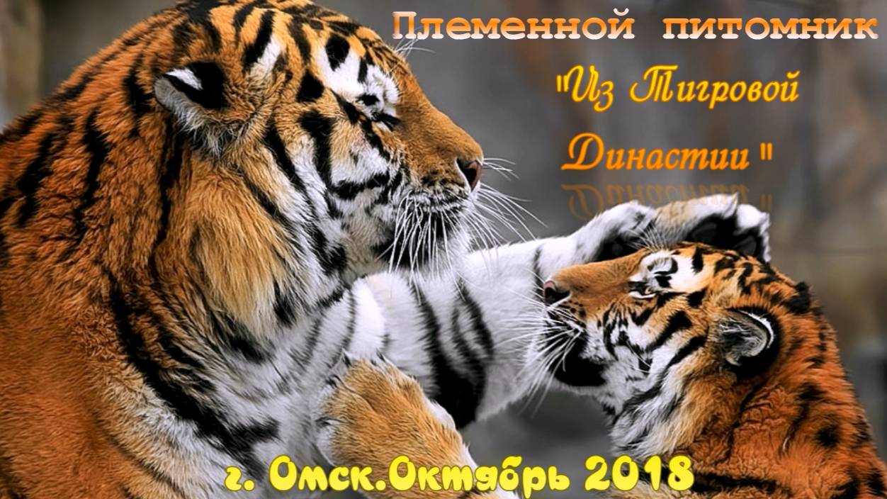 Первый выход  на прогулку. . Октябрь 2018 г.