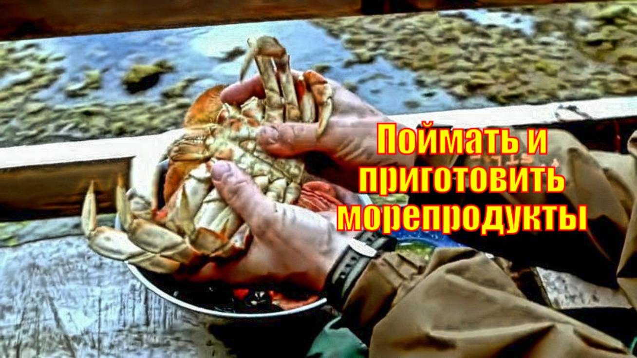 Поймать и приготовить морепродукты