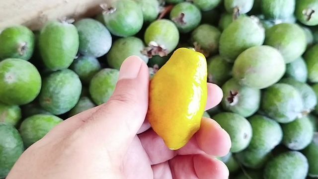 Мандарин Фейхоа)