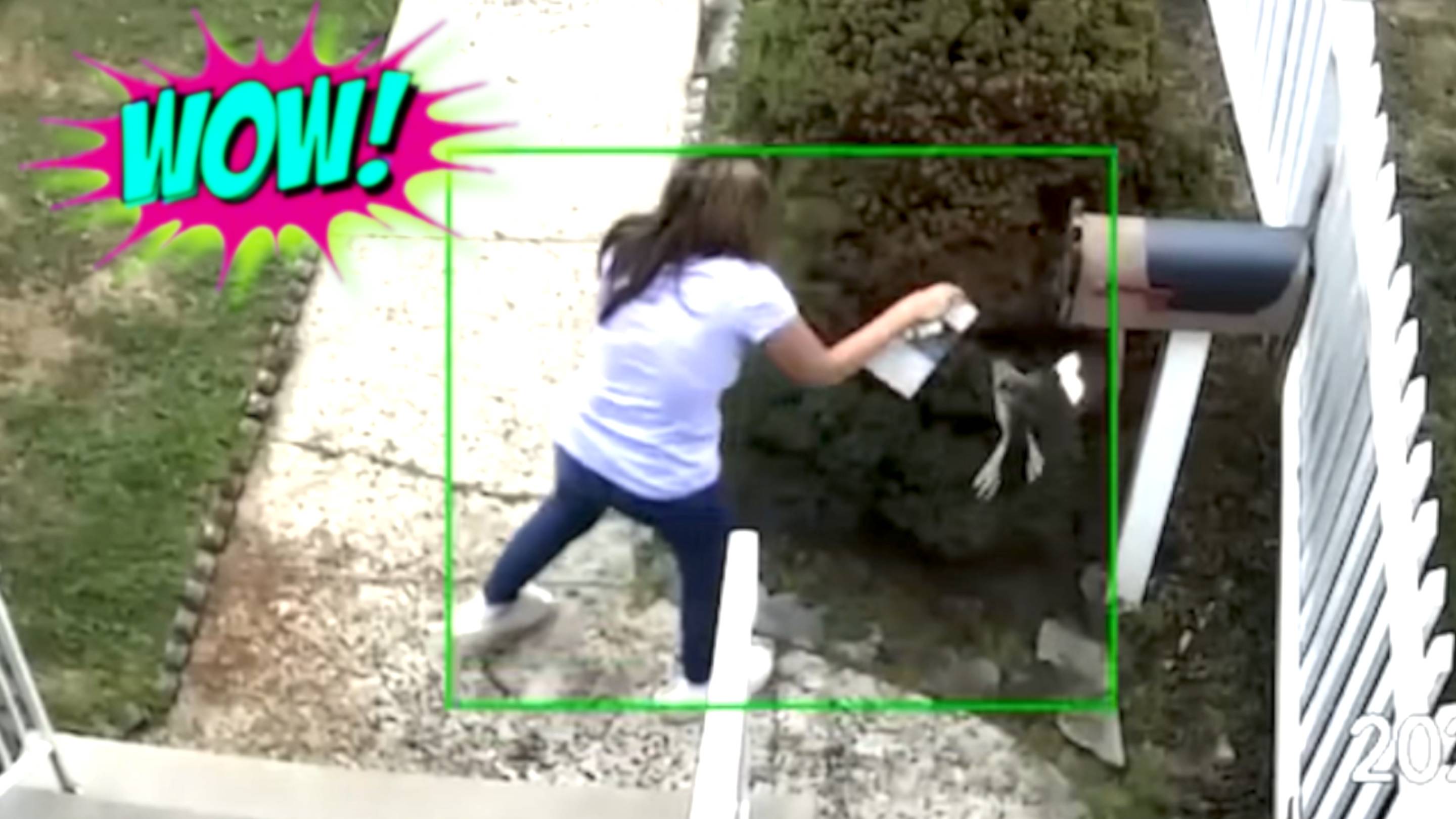 СМЕШНЫЕ ВИДЕО: ПРИКОЛЫ, КОТОРЫЕ ПОДНИМУТ НАСТРОЕНИЕ