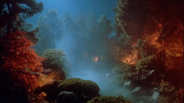 A playlist for broken hearts..-