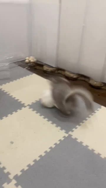 Сколько же там энергии