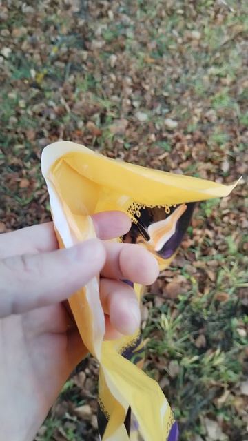 Крайне Северный Ниндзя: Крыло (08.11.2025) Very Nordic Ninja: Wing #NinjaLife #NinjaWords #NinjaArts