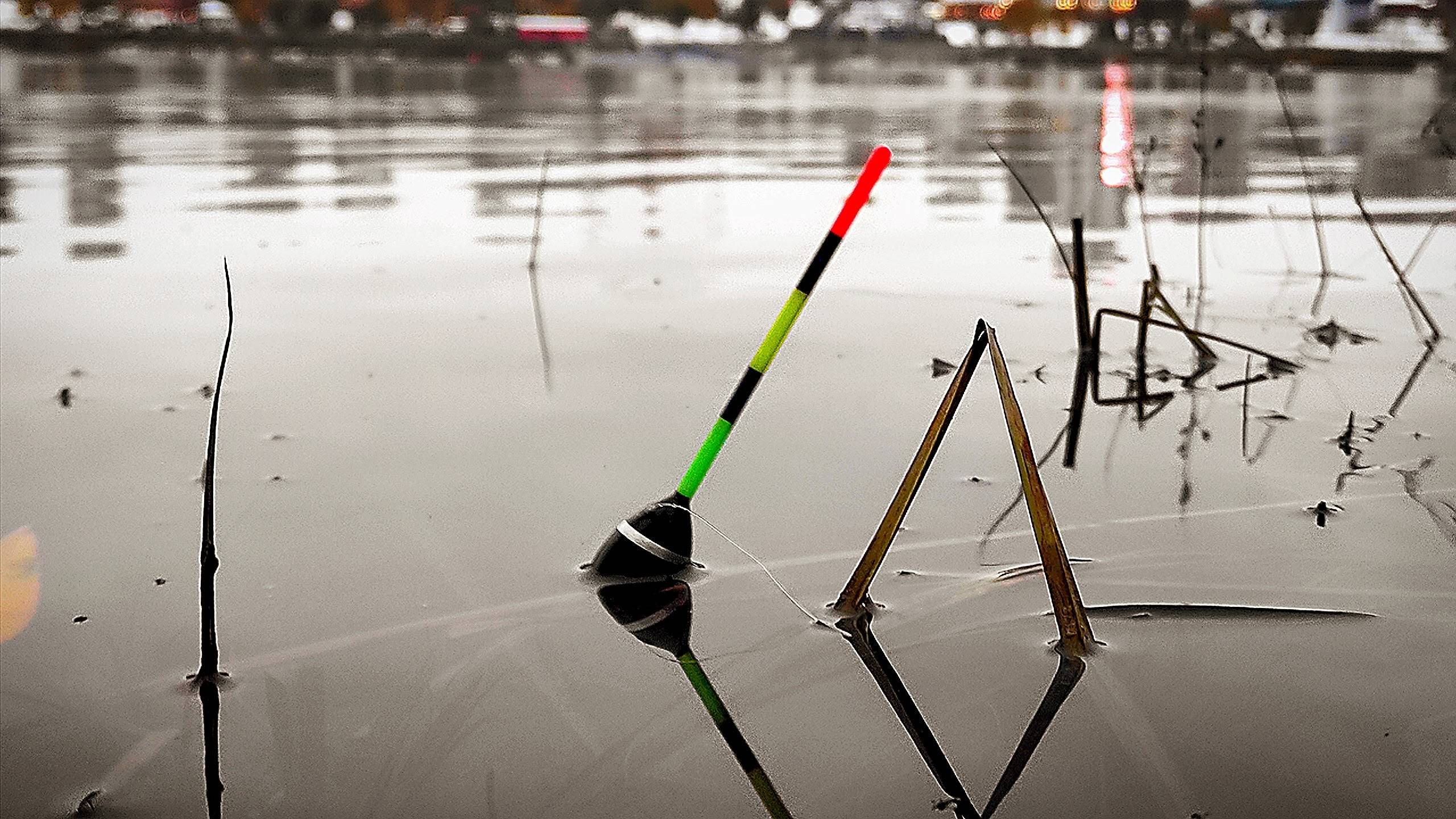 В ГЛУБОКОЙ СТАРИЦЕ ТОПИТ ПОПЛАВОК! Неужели Карась? Закрыл сезон ВОТ ЭТИМ! Рыбалка 2025