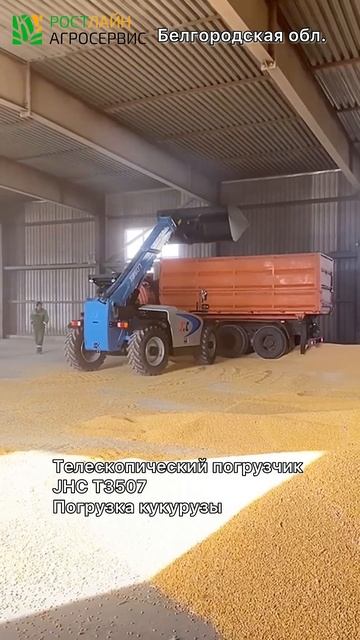 JHC T3507 грузит кукурузу: демонстрация работы телескопического погрузчика | #shorts
