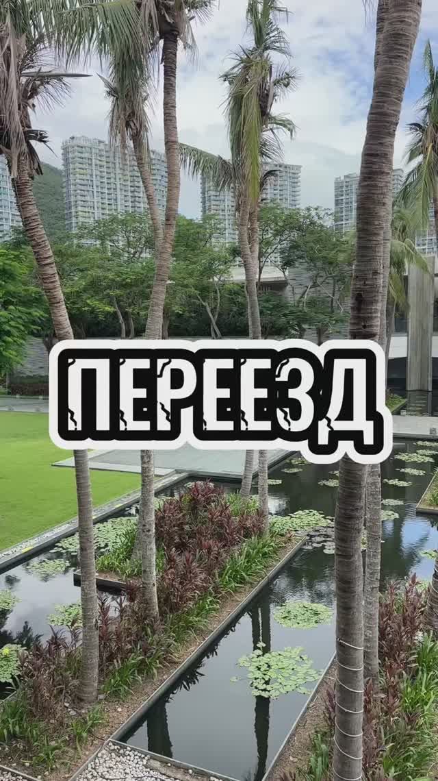 Трансфер от отеля