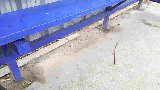 На остановке улица Ватутина прекрепили профлисты Дзержинск