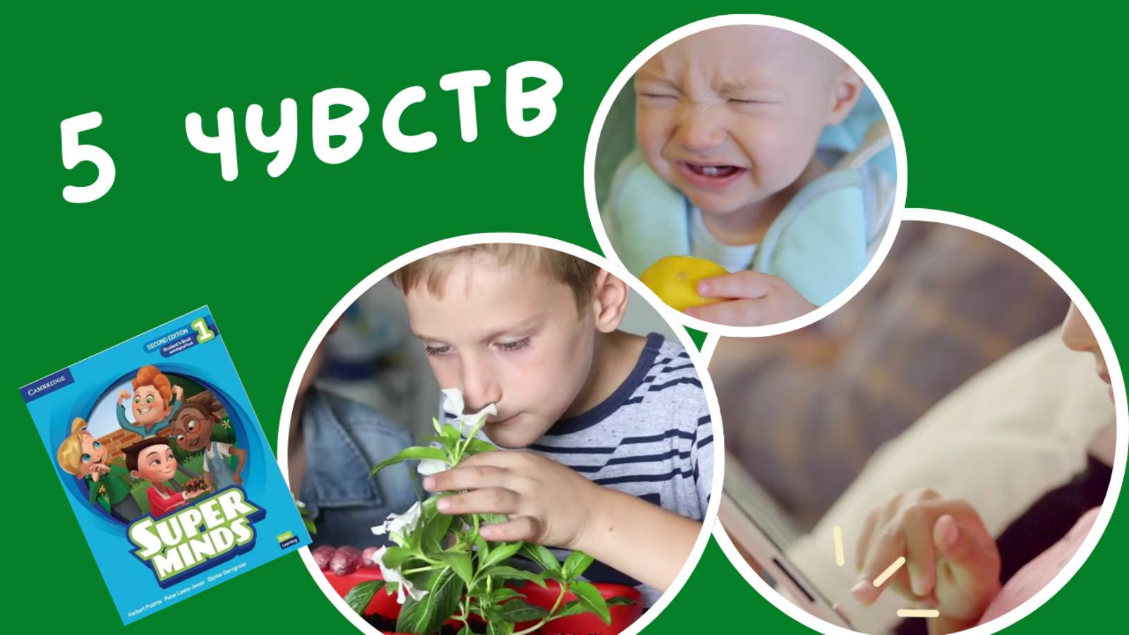 Think and Learn | SENSES | Super Minds 1 | Unit 1