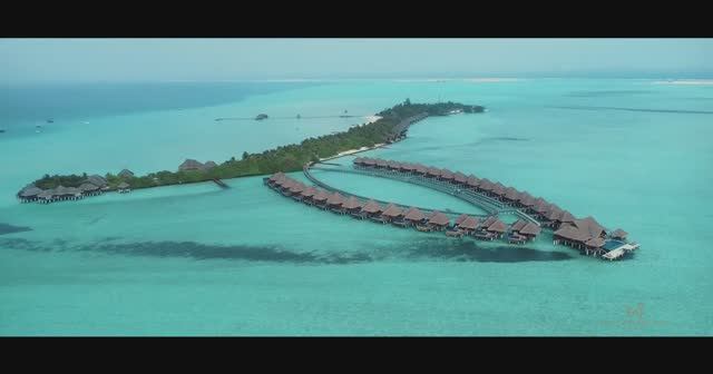 Taj Exotica Resort & Spa 5*