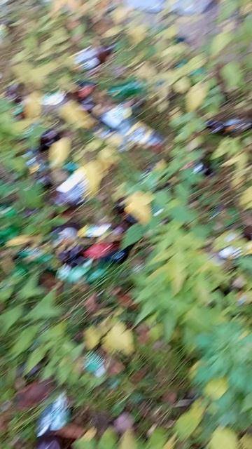 Свалка пивных бутылок на Грибоедова Дзержинск