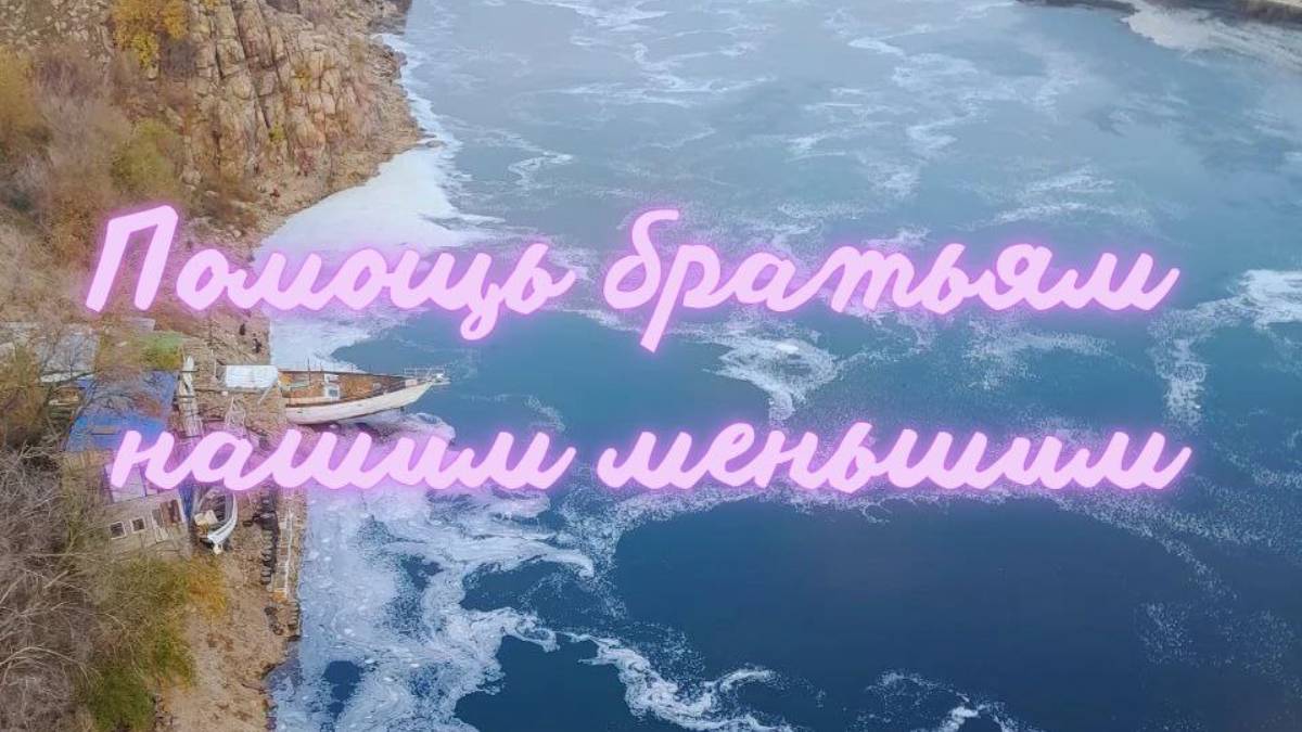 Помощь братьям нашим меньшим. Энергетическая работа. #вселеннаяя, #помощьживотным