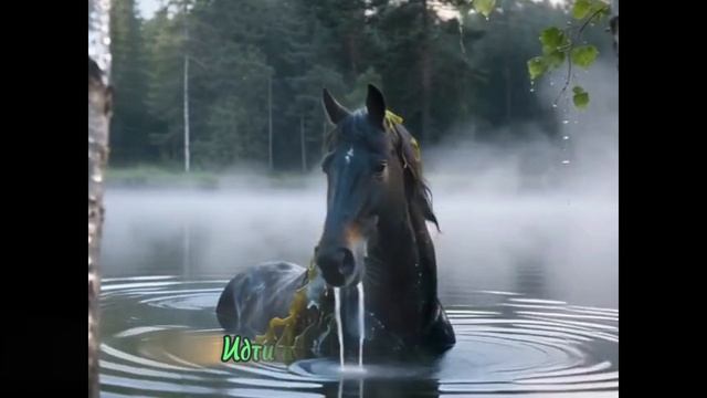 Пленник омута (Авторская песня)