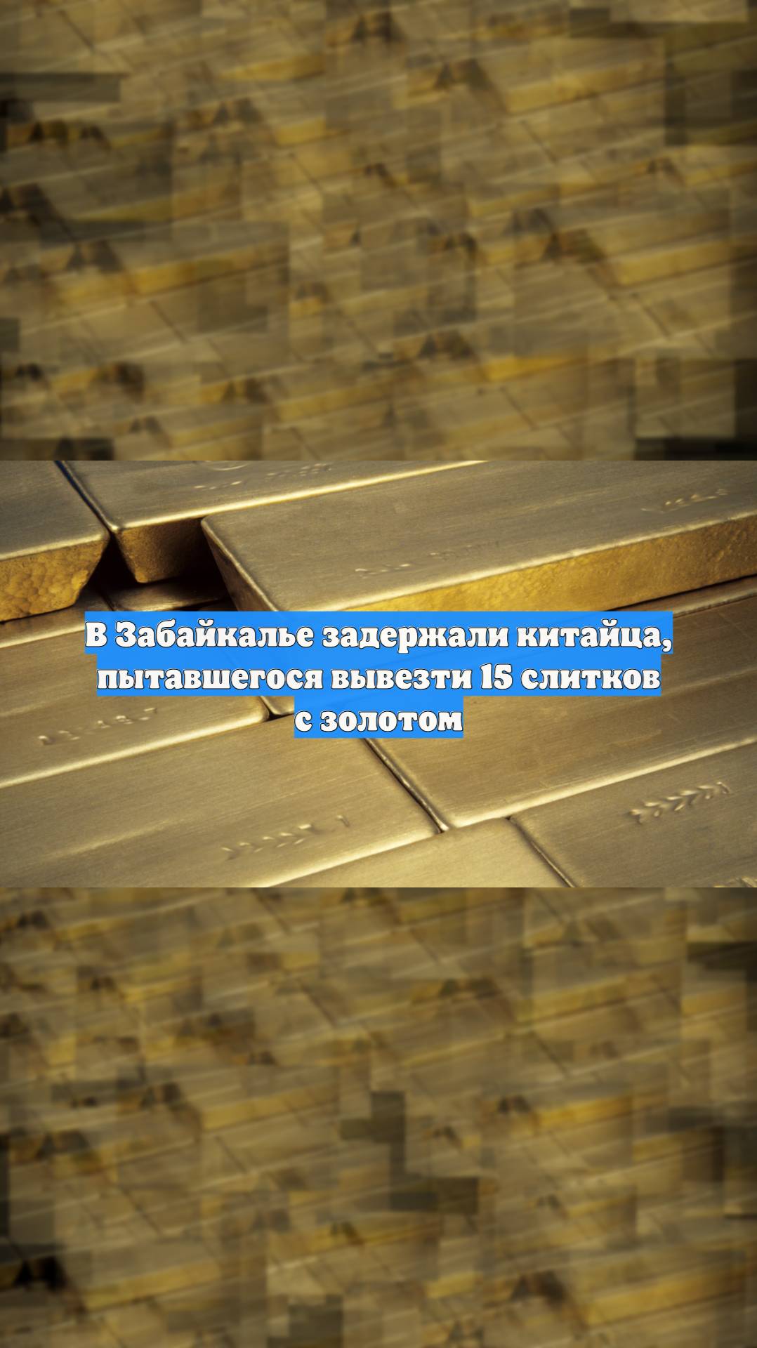 В Забайкалье задержали китайца, пытавшегося вывезти 15 слитков с золотом