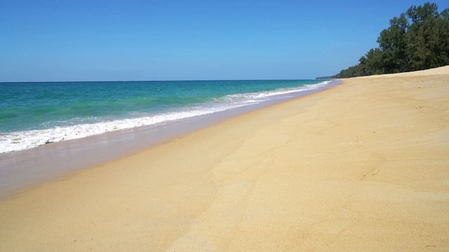 Дикая природа - медитация, трансформация, для сна