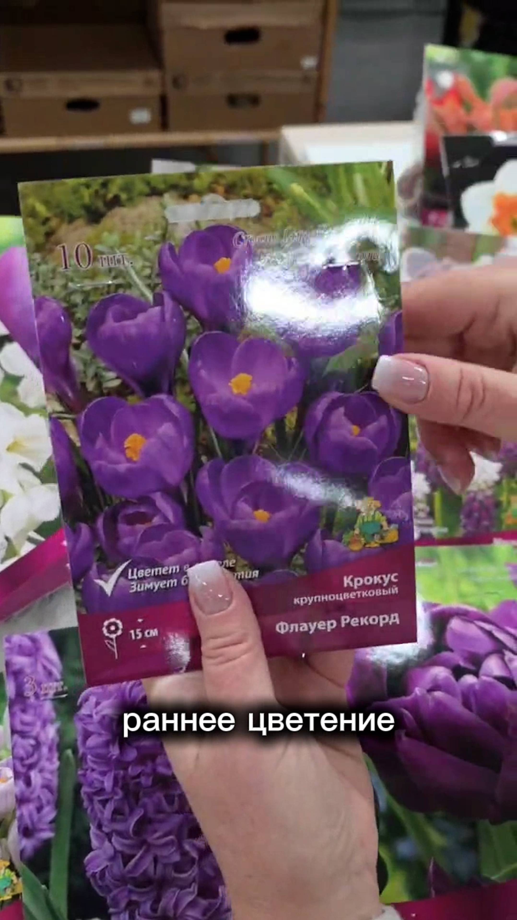 Цветник в фиолетовой гамме своими руками!