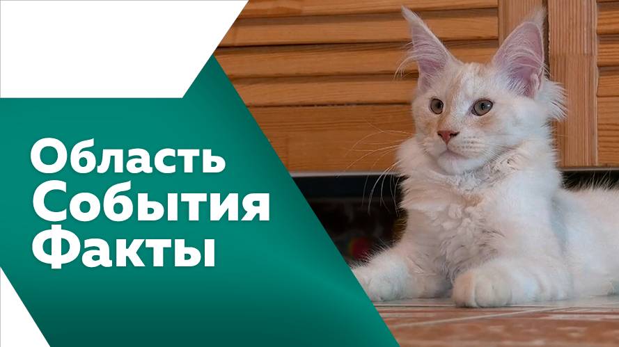 Область. События. Факты №531