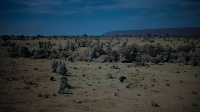 Земля ночью в цвете / сезон 1 / 6 из 6 / 2020, документальный, сериал