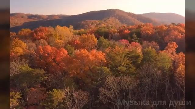 Осенний сон - новинка октябрь 2025, красивая осенняя песня для души @Музыкадлядуши-1