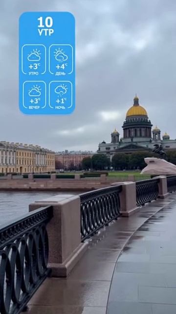 Прогноз погоды в Санкт-Петербурге на 10.11.2025 от котика.