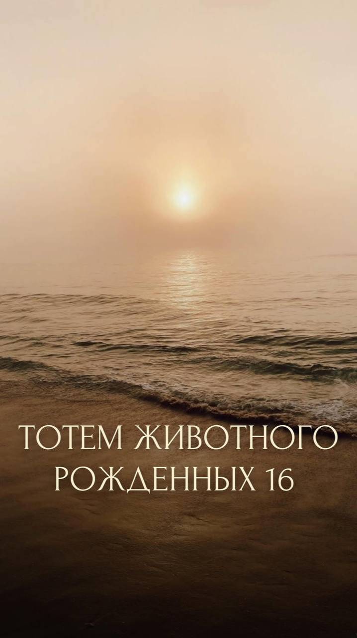 ТОТЕМ ЖИВОТНОГО РОЖДЕННОГО 16 ЧИСЛА