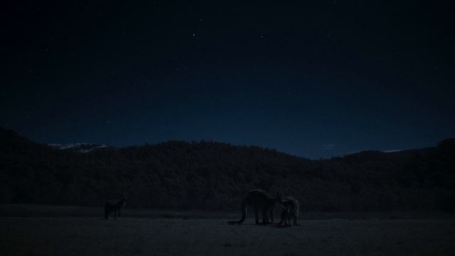 Земля ночью в цвете / сезон 2 / 3 из 6 / 2021, документальный, сериал