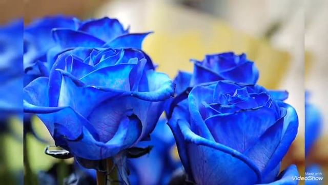 Джеймс Ласт Жизнь прекрасна @ЛидияТиунова-ч5т