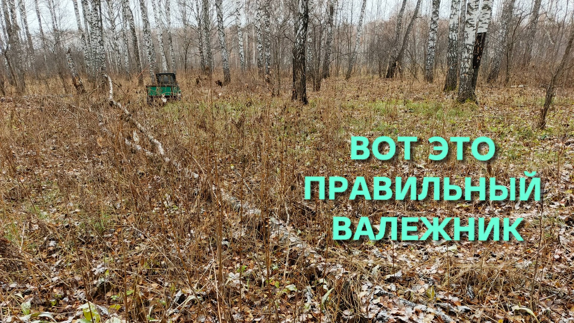 Последний выезд за валежником в лес