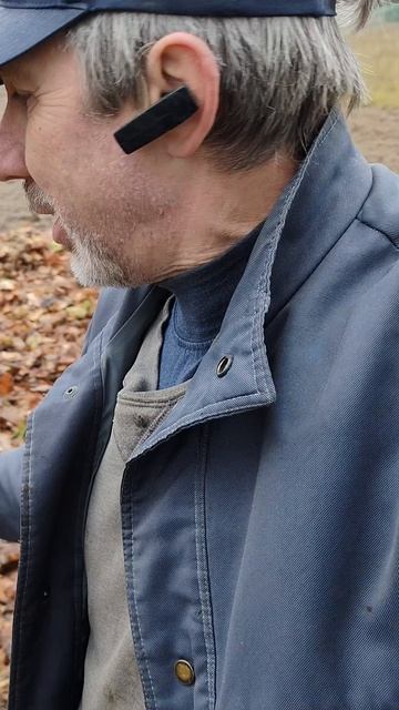 Удобрения - бесплатно! Не сжигай старую листву! Листва - ценное укрытие и удобрение!