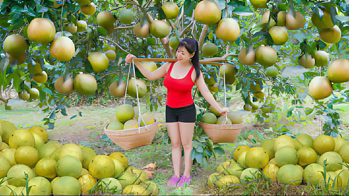 Собираю грейпфруты для продажи на местном рынке. Собираю лимоны и готовлю свежий лимонад. Вьетнам