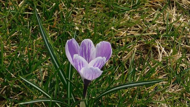 ВИДЕО ПВН  АВ   (44)