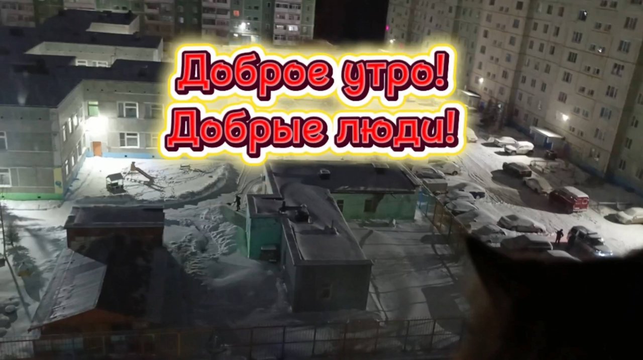 ДОБРОЕ УТРО! 11 ноября 2025