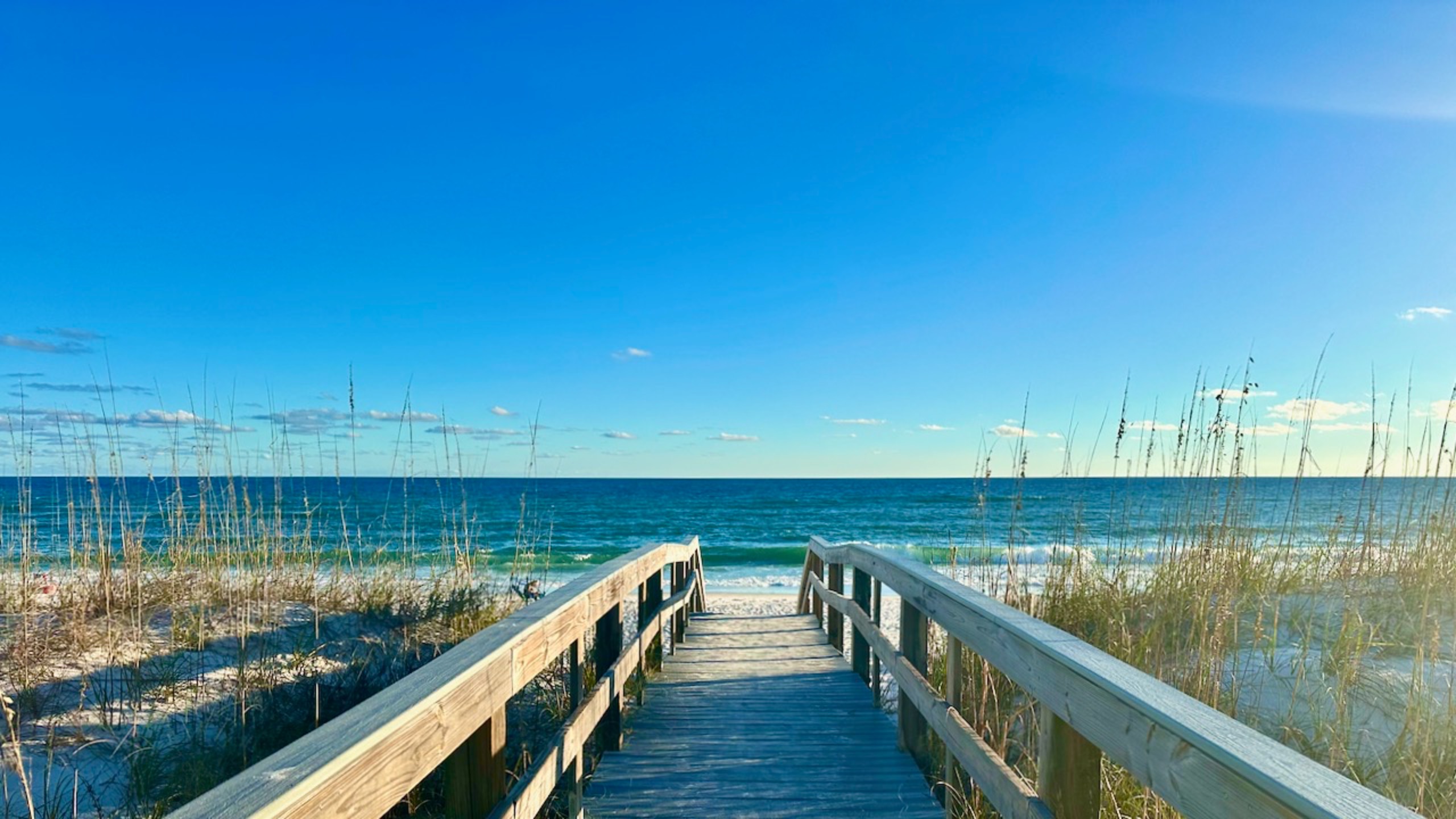 День накануне Нового 2025 года